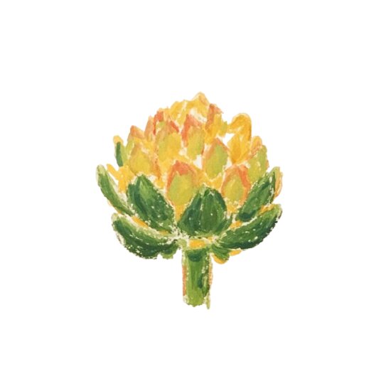 Artichoke Thumbnail