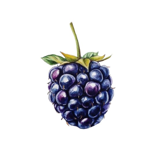 Blackberry Thumbnail