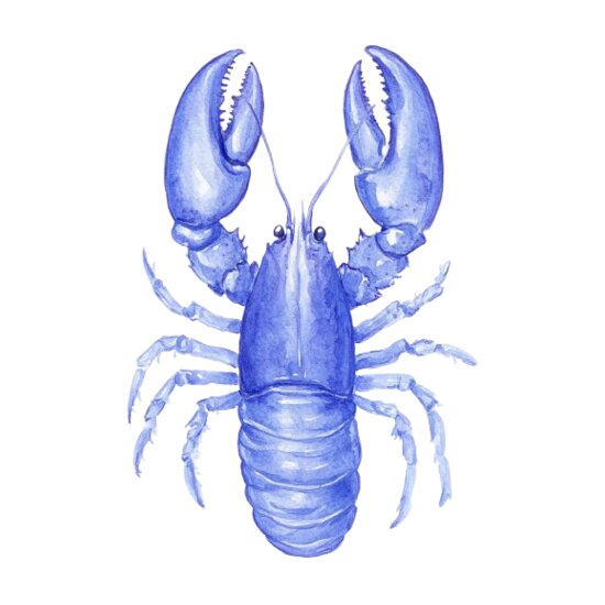 Blue Lobster Thumbnail