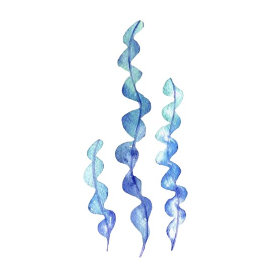 Blue Seaweed Thumbnail