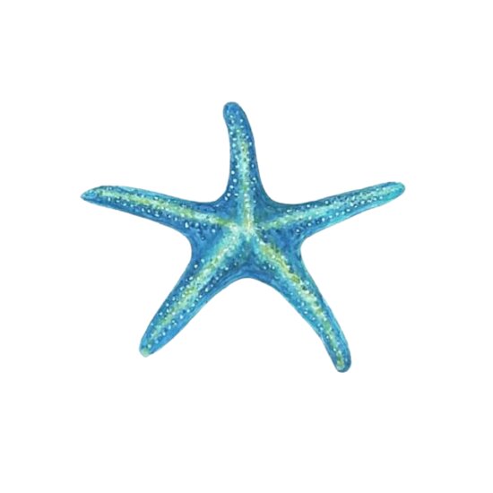 Blue Starfish 01 Thumbnail