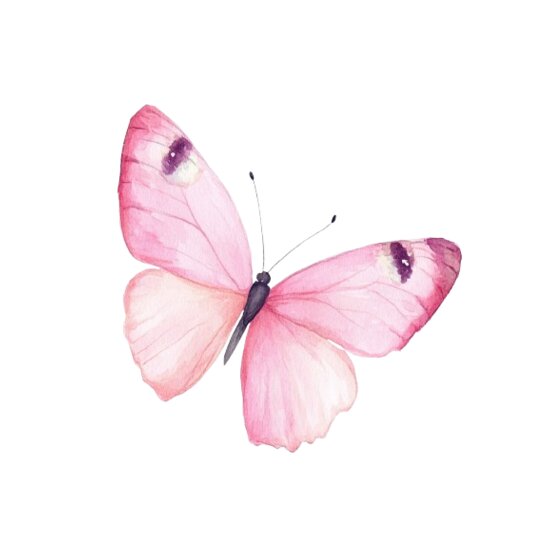 Butterfly Thumbnail