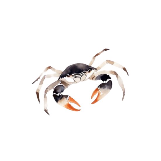 Crab Thumbnail