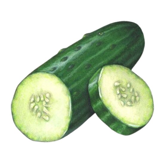 Cucumber Thumbnail