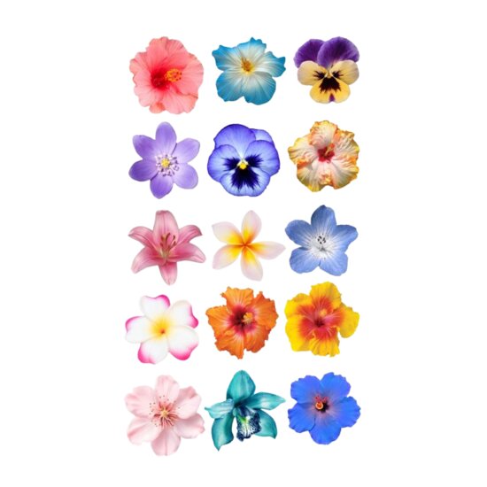 Flowers Set Thumbnail