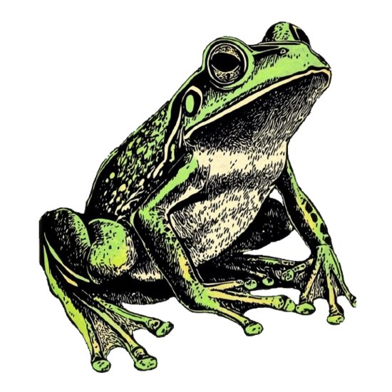 Frog Thumbnail