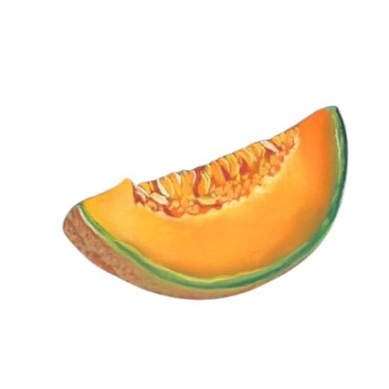 Melon Thumbnail