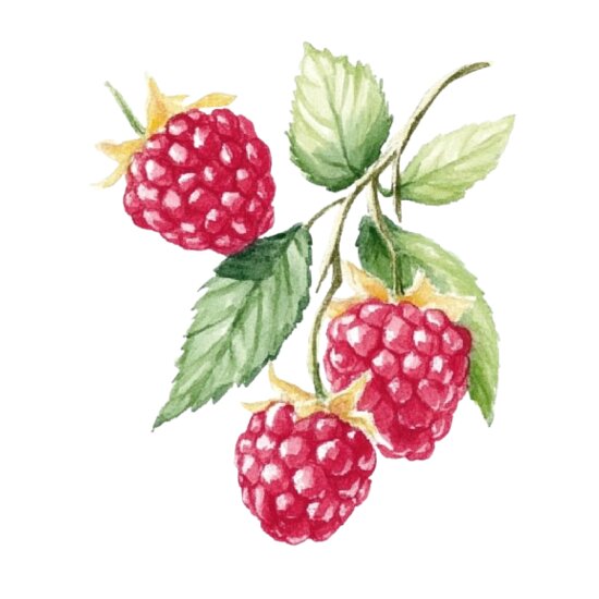 Raspberry Thumbnail