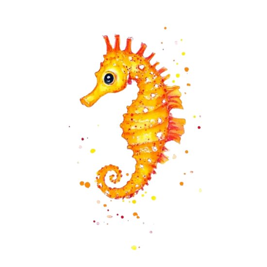 Seahorse Thumbnail