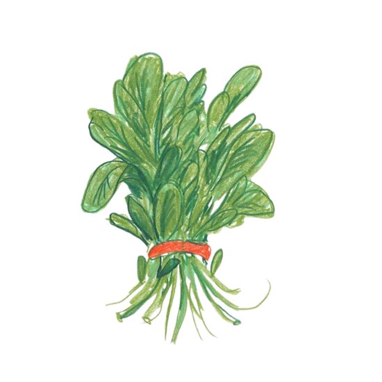 Spinach Thumbnail